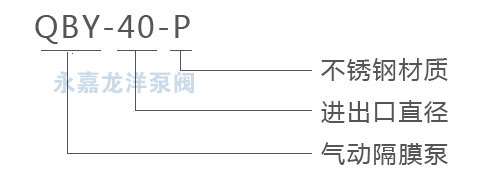 QBY不銹鋼氣動(dòng)隔膜泵型號(hào)意義 QBY不銹鋼氣動(dòng)隔膜泵型號(hào)意義